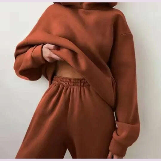 Women Tracksuit Hoodies Casual Solid Long Sleeve Fleece Warm Hooded Sportswear Suit Hoody Pullovers Long Pant Two Pieces Sets - KIMLUD
