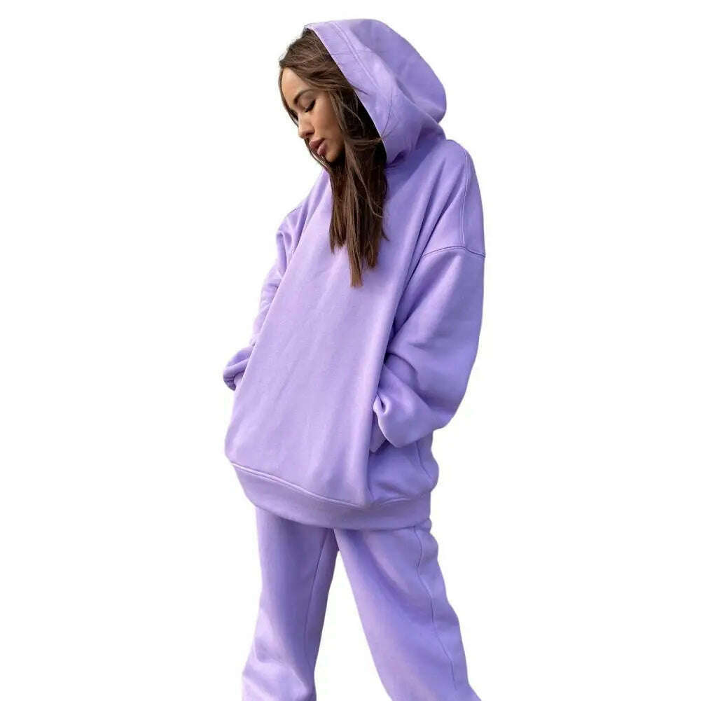 Women Two Piece Sets Tracksuit Hooded Sweatshirt Tops Sweatpants Pants Set Female Spring Autumn Long Sleeve Pullover Sports Set - KIMLUD