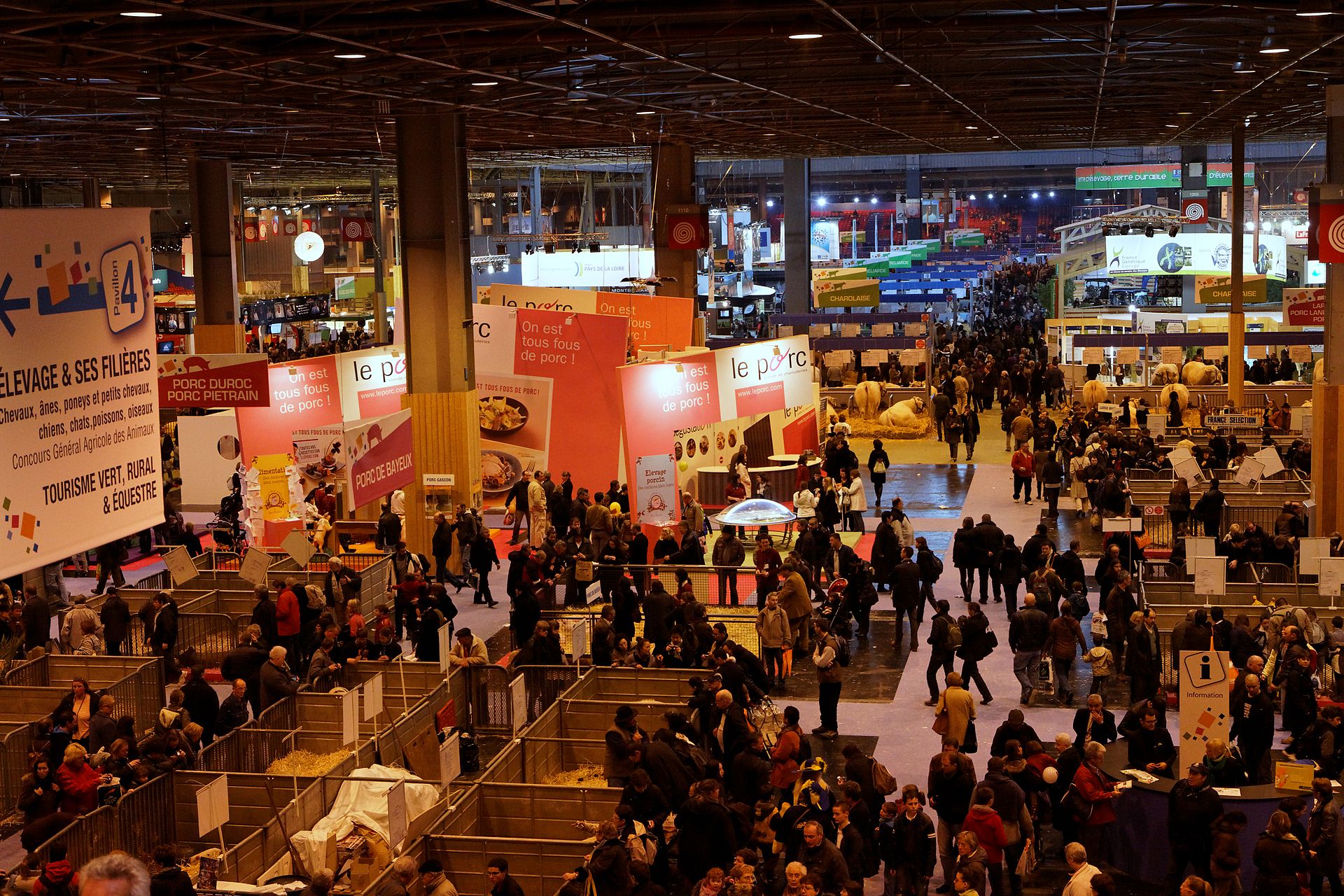 Meet OReillette, the muse of the 2024 Agriculture sale show in France