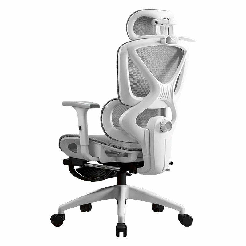 Ergonomic Chairs