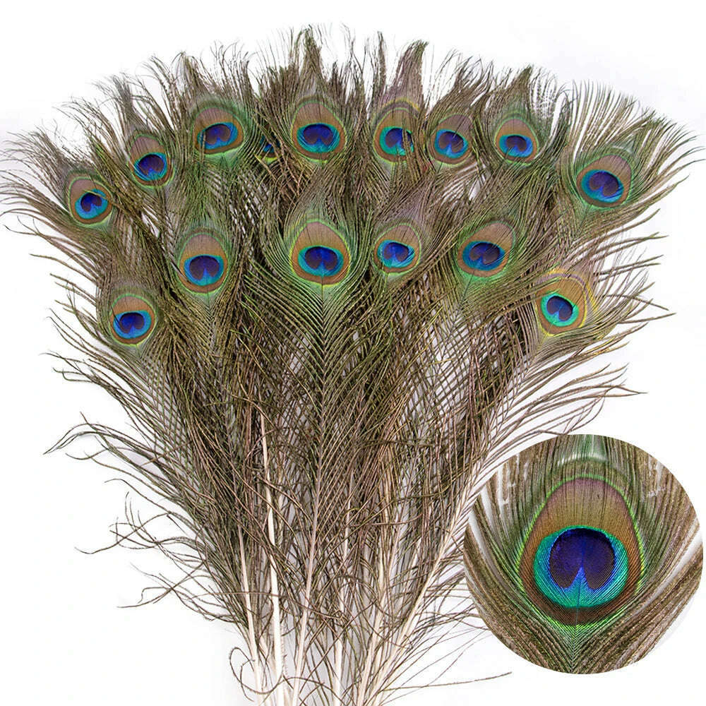 10PCS Real Peacock Feather 25-50cm for DIY Craft Jewelry Vase Table Decor Plume stage perform Wedding clothing Dress Accessories - KIMLUD