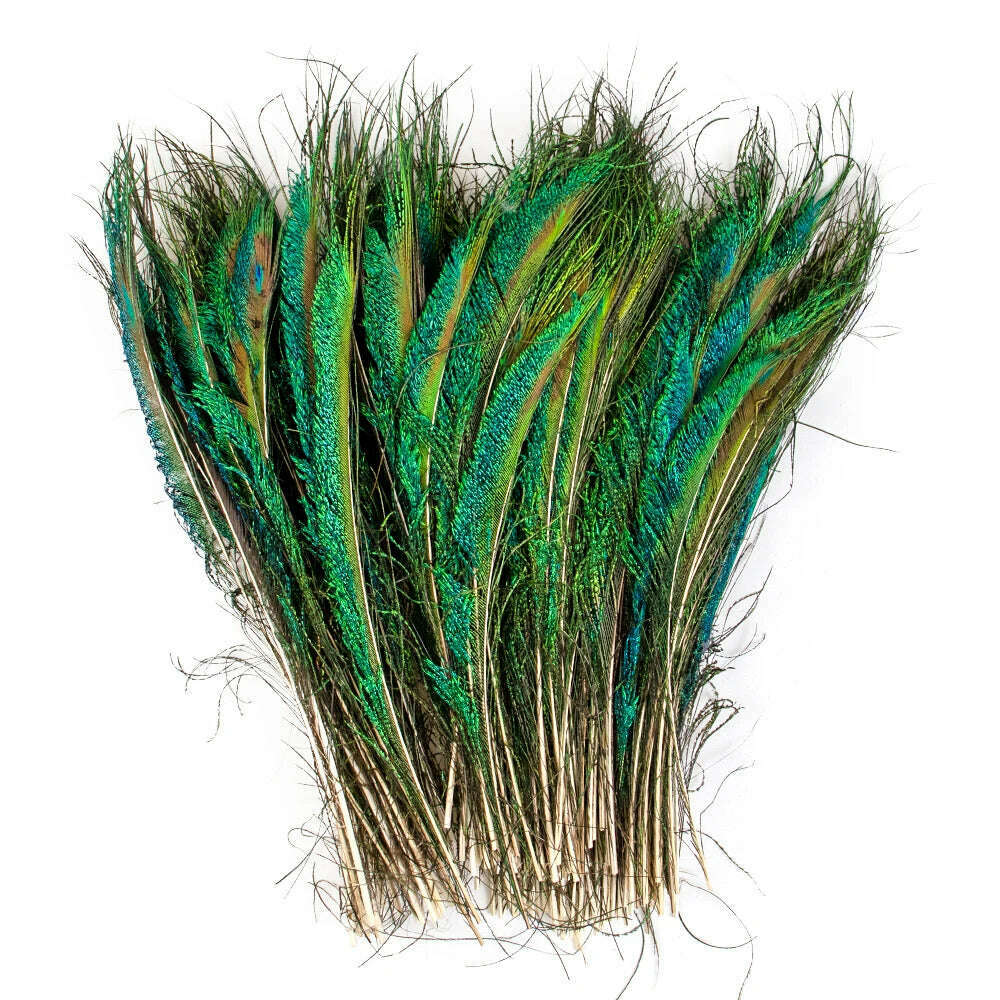 10PCS Real Peacock Feather 25-50cm for DIY Craft Jewelry Vase Table Decor Plume stage perform Wedding clothing Dress Accessories - KIMLUD