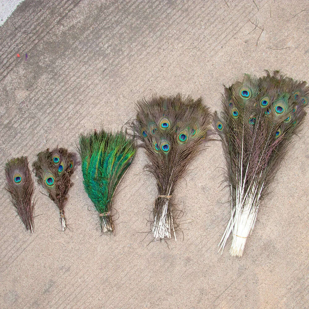 10PCS Real Peacock Feather 25-50cm for DIY Craft Jewelry Vase Table Decor Plume stage perform Wedding clothing Dress Accessories - KIMLUD
