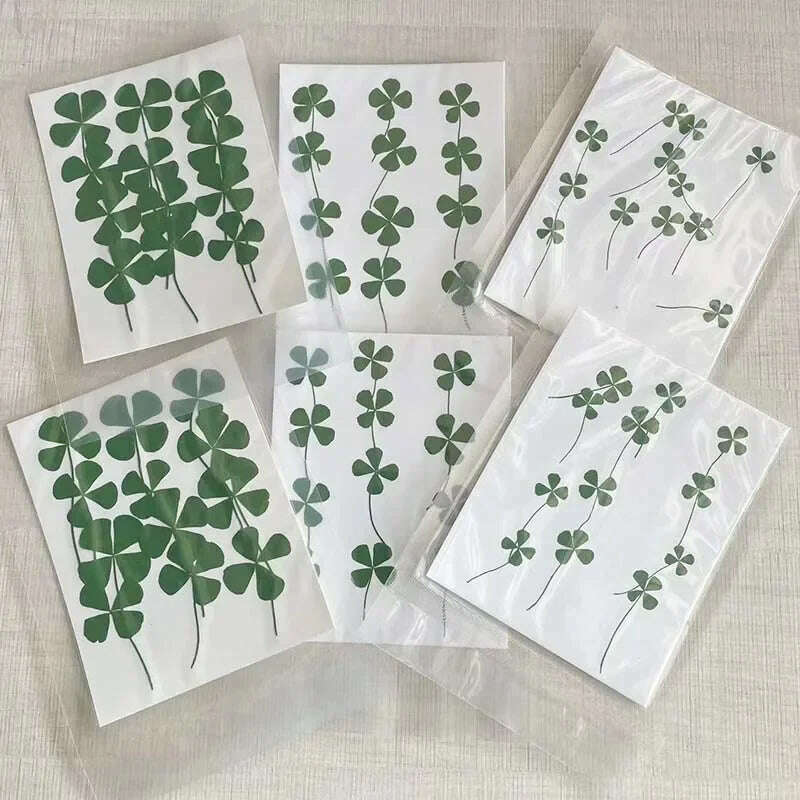 KIMLUD, 12/24PCS,Real Natural Dried Pressed Flowers Lucky Four Leaf Clover Branch,Dry Press Green Leaves DIY For Epoxy Resin, Candle, KIMLUD Womens Clothes