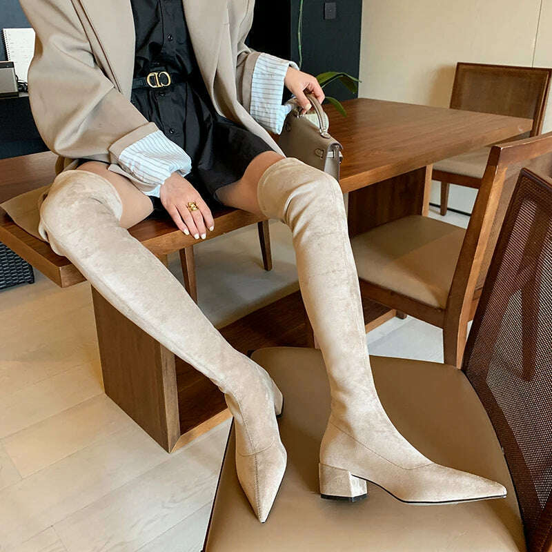 KIMLUD, 2023Sexy High heels Over The Knee Boots Women Stretch Thigh High Boots Ladies Autumn Winter Kid suede Thick Heel Long Boots Shoe, KIMLUD Women's Clothes