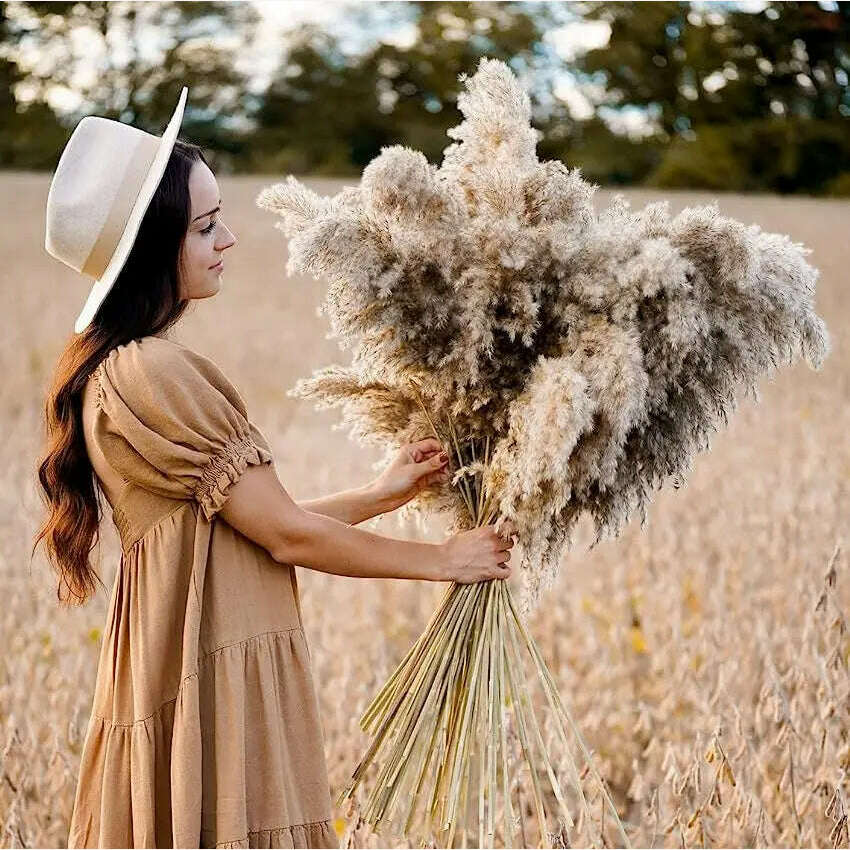 KIMLUD, 60cm Fluffy Tall Pampas Decor Large Natural Dried Pampas Grass Artificial Flowers,Boho Home Wedding Decor Room Table Decoration, 60cm NO Vase / 10pcs, KIMLUD Womens Clothes