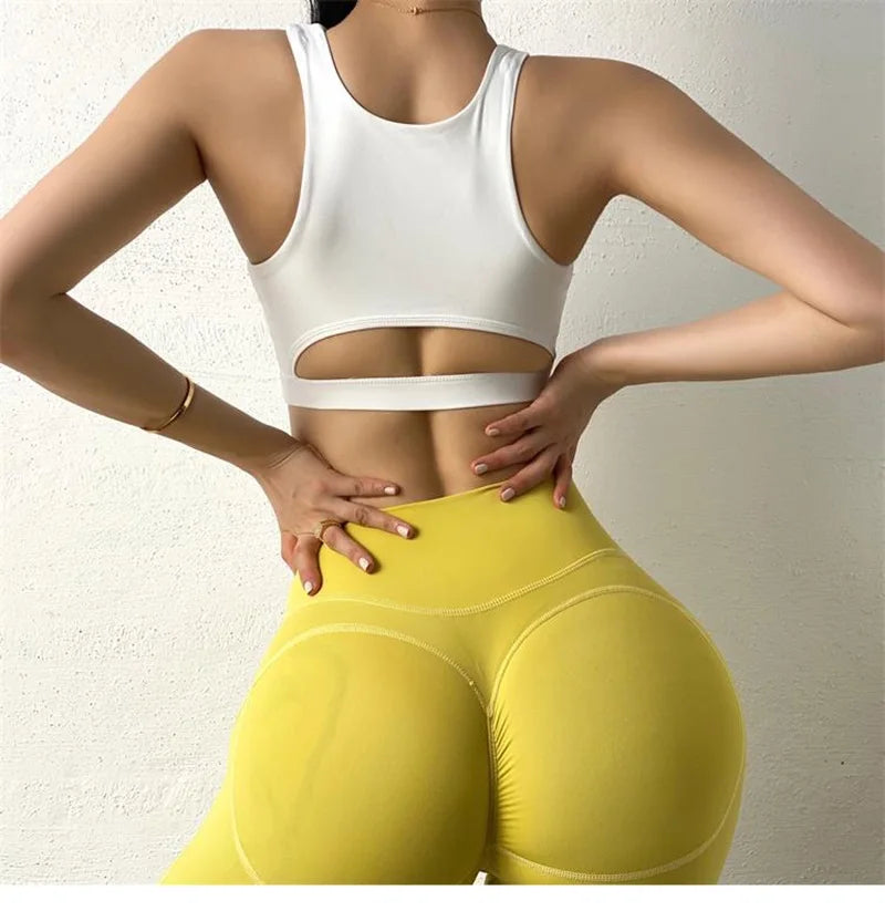 Knit Cloud Hide Sports Bra Crop Top With Pads — White | KIMLUD