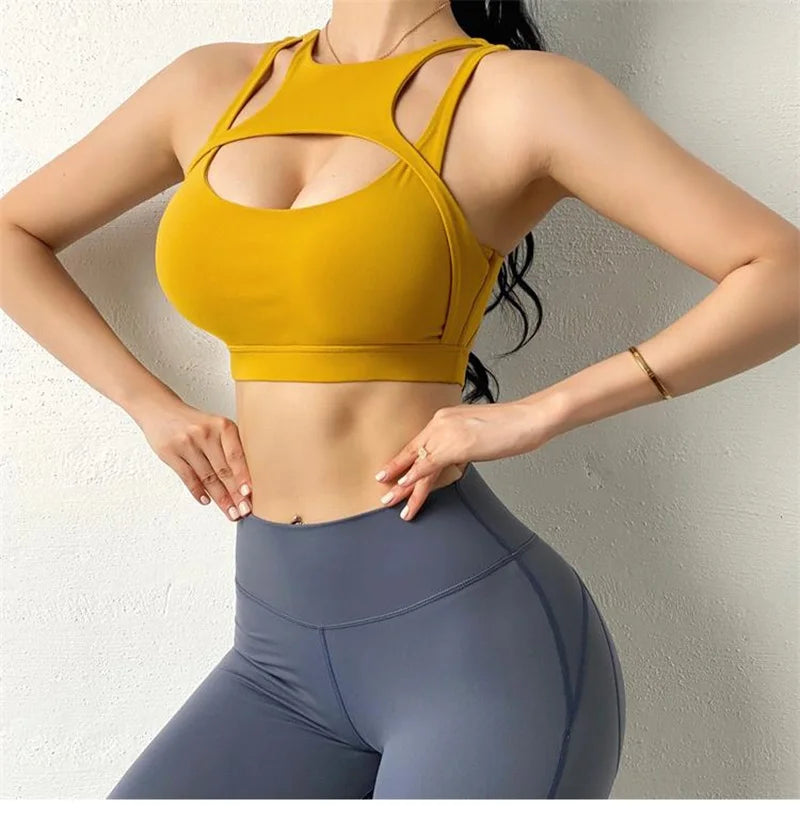 Knit Cloud Hide Sports Bra Crop Top With Pads — White | KIMLUD