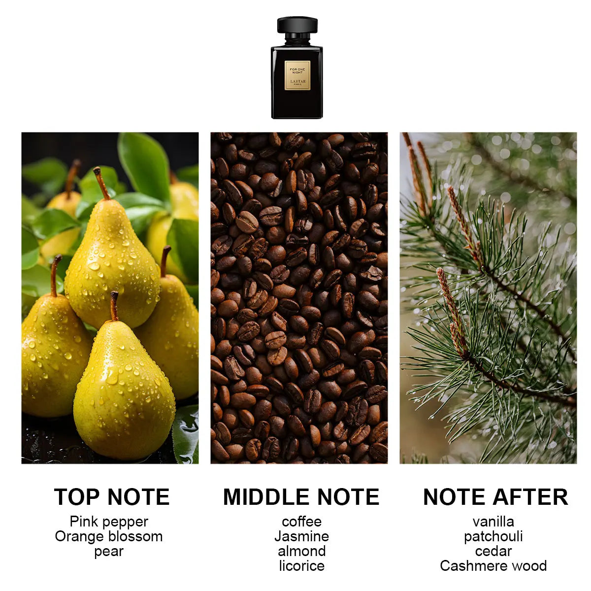 Cedar Woody Scented Fragrance Set — Clear | KIMLUD