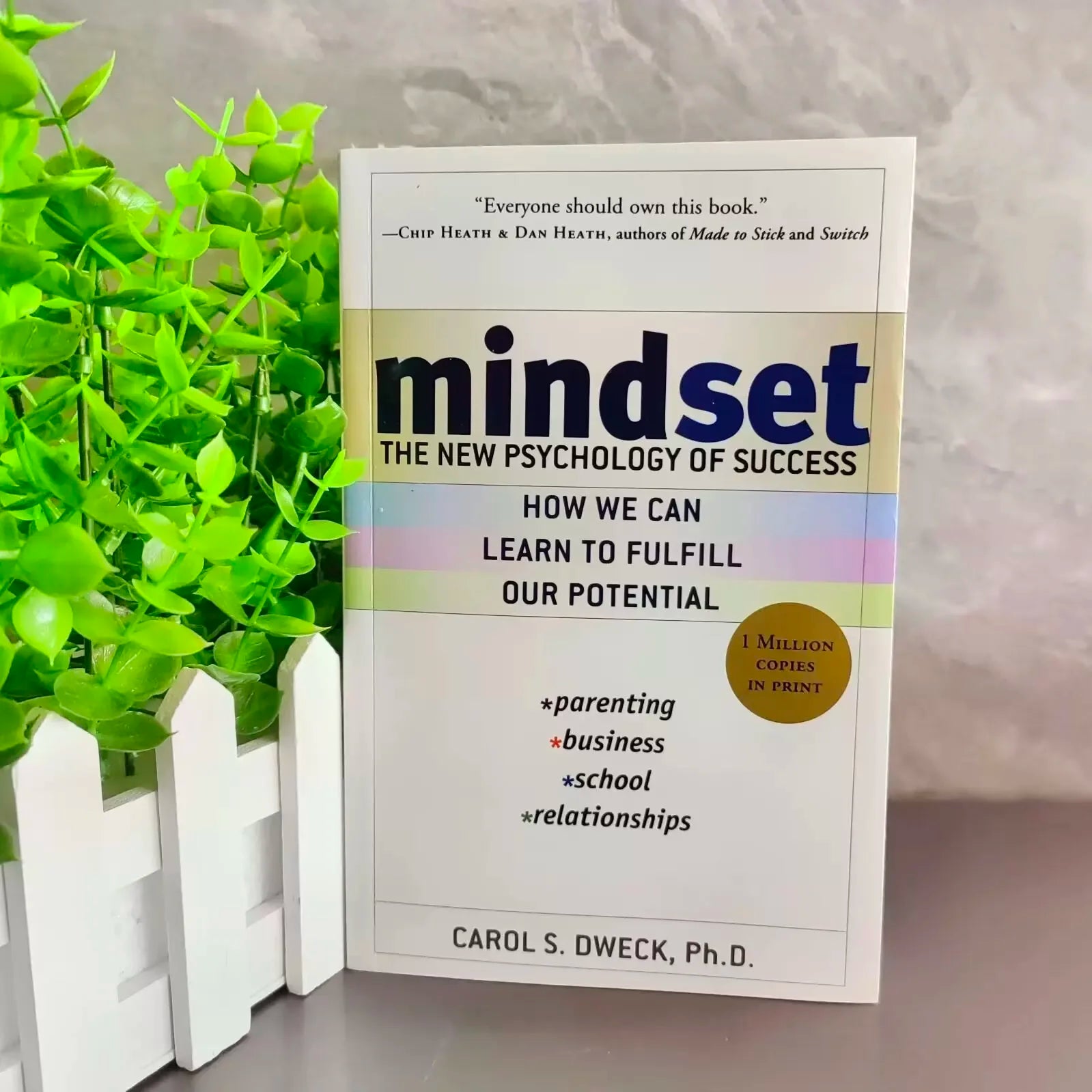 Mindset The New Psychology Of Success English Book by Carol S. Dweck Foreign Literature Inspirational Book