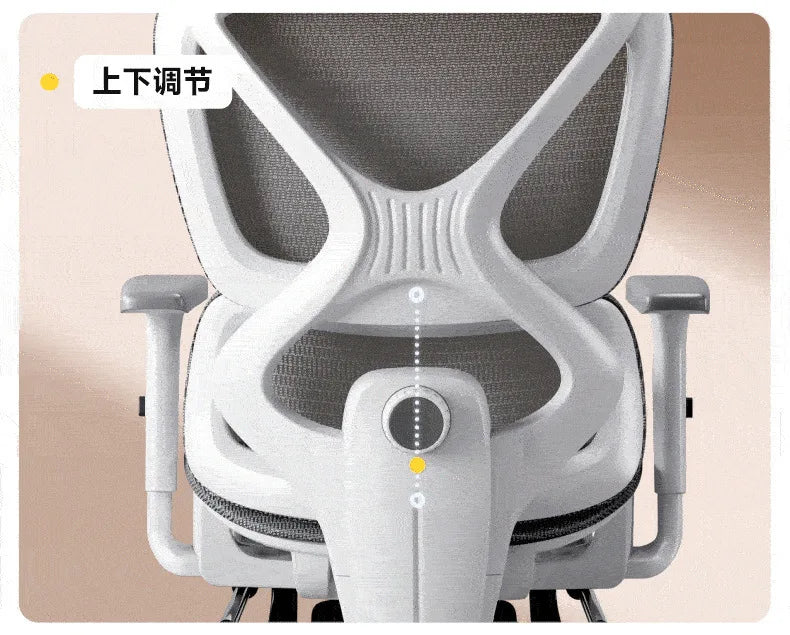 Office Chair – Adjustable Lumbar Support – Nylon Frame – Ergonomic | KIMLUD