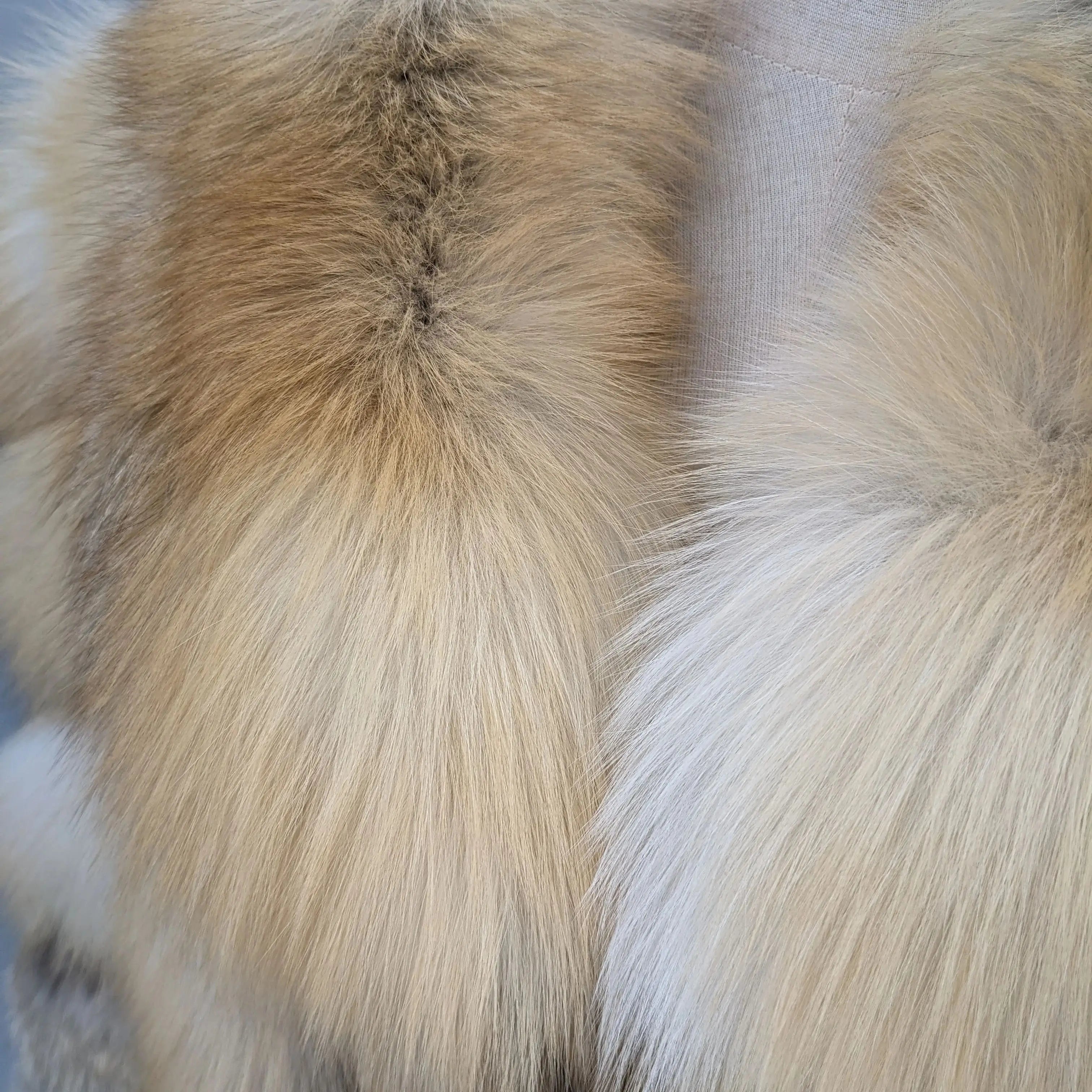 Women Genuine Natural Golden Island Fox Fur Coat with fox fur collar For Winter Fashion Short Jacket