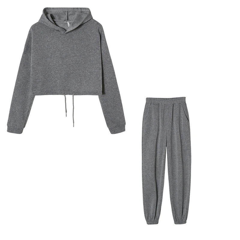 Polyester-Cotton Two-Piece Set Cropped Hooded Top and Joggers — Rose Pink | KIMLUD