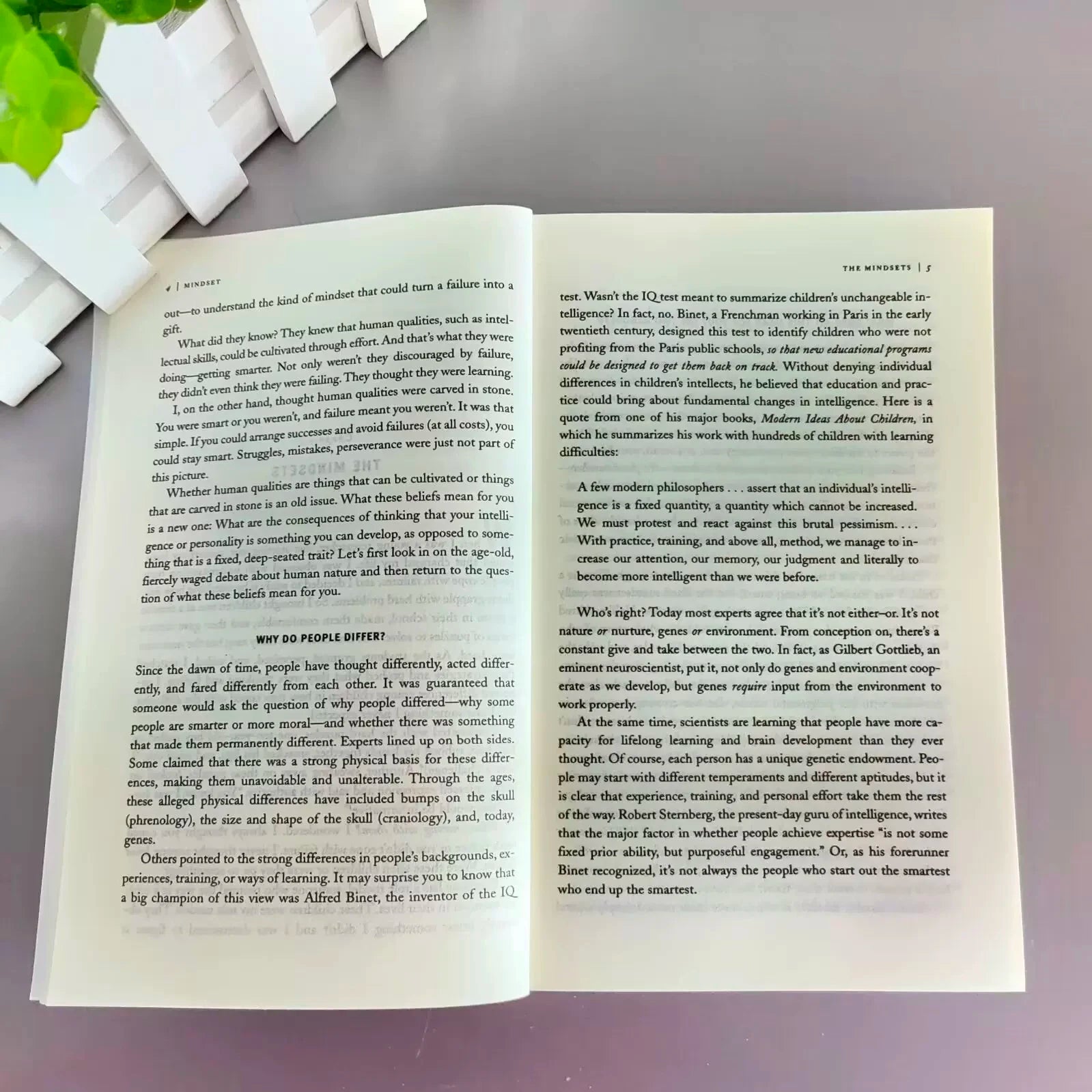 Mindset The New Psychology Of Success English Book by Carol S. Dweck Foreign Literature Inspirational Book