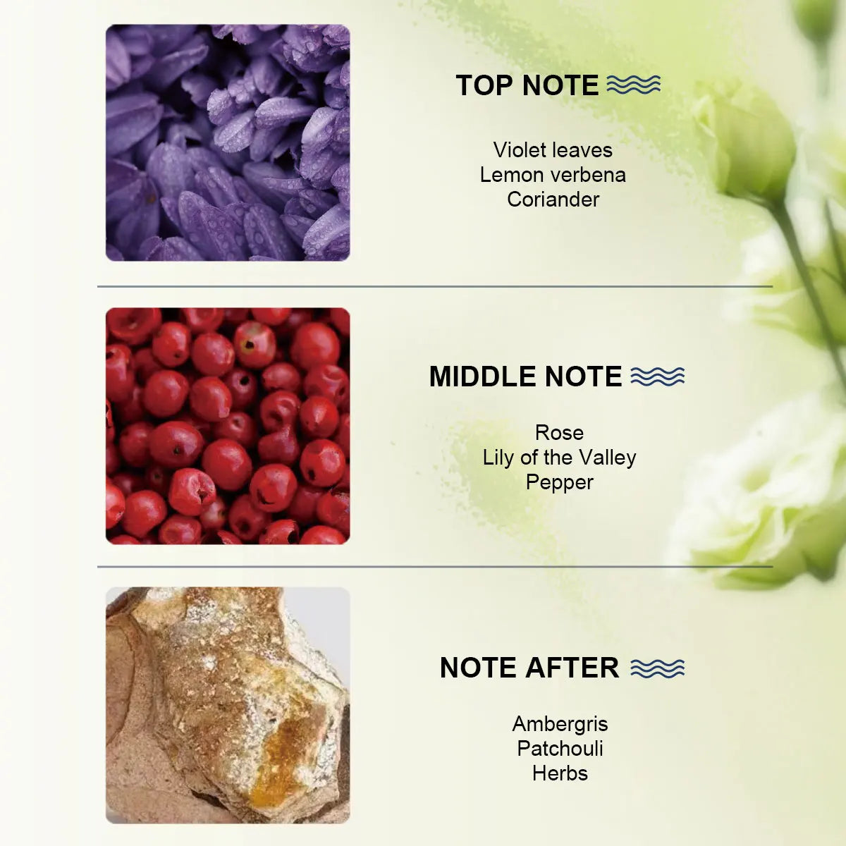 Ambergris Patchouli Eau De Parfum — Amber | KIMLUD