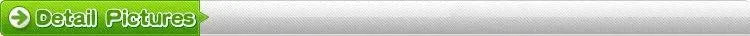 Bone China Dinnerware Set 46-Piece Gold Rim — Ivory White | KIMLUD