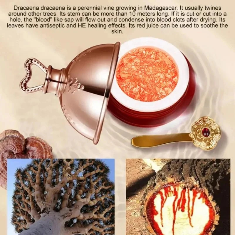 Dragon's Blood Rejuvenating Face Cream Retinol Placenta Brightening Lifting Complex — Crimson | KIMLUD