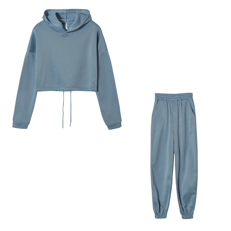 Polyester-Cotton Two-Piece Set Cropped Hooded Top and Joggers — Rose Pink | KIMLUD