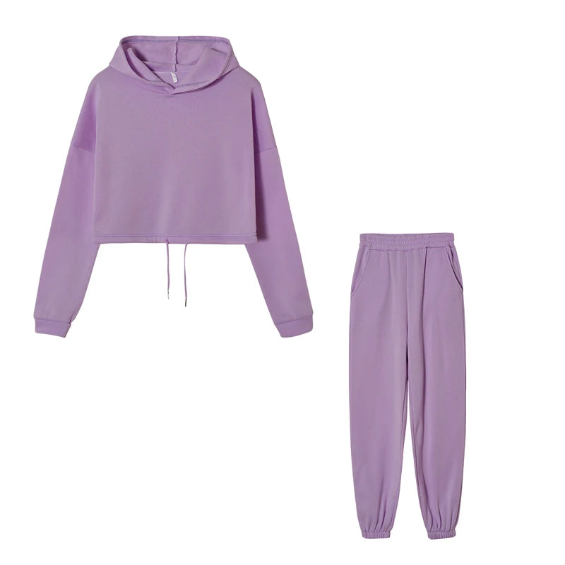 Polyester-Cotton Two-Piece Set Cropped Hooded Top and Joggers — Rose Pink | KIMLUD