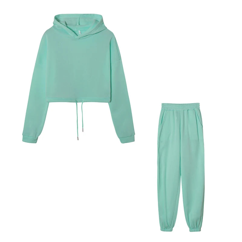 Polyester-Cotton Two-Piece Set Cropped Hooded Top and Joggers — Rose Pink | KIMLUD