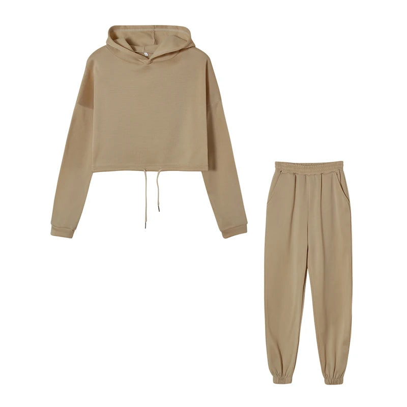 Polyester-Cotton Two-Piece Set Cropped Hooded Top and Joggers — Rose Pink | KIMLUD