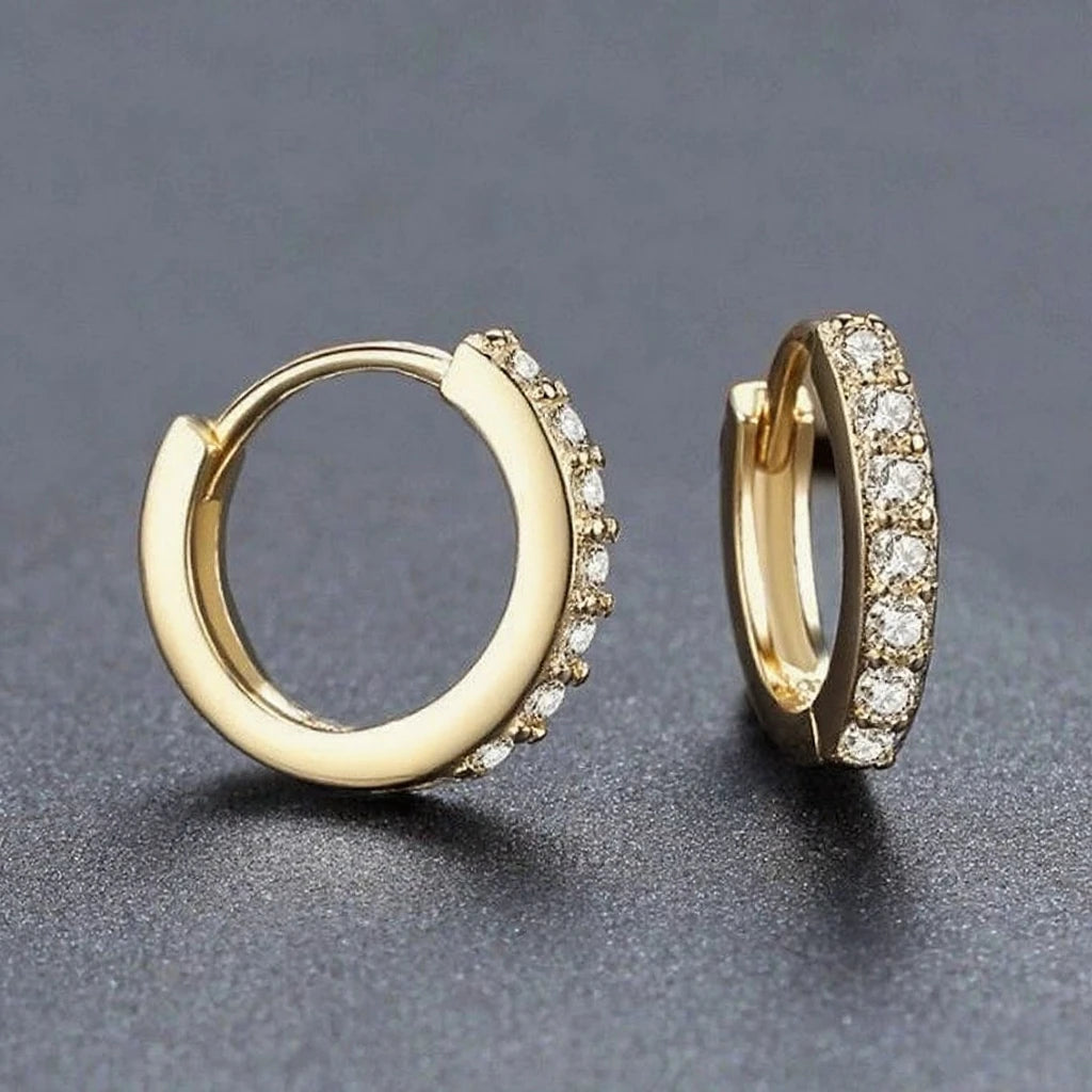 Sterling Silver Earrings Shining Zircon Circle Hoops — Silver | KIMLUD