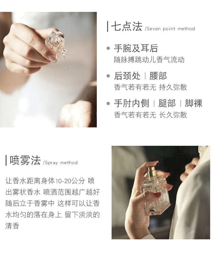 Sandalwood Woody Unisex Premium Perfume — Clear | KIMLUD