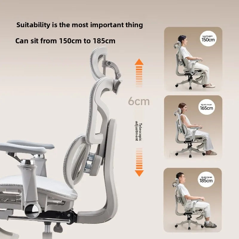 Esports Ergonomic Lift Chair Bedroom 6D Armrest Lumbar Support Computer Chair Household Comfortable Office Backrest Chair