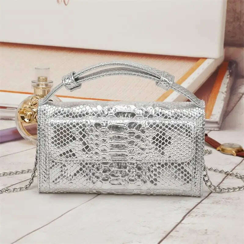 KIMLUD, Bolsa Feminina Small Leather Women's Hand Bag Female Fashion Chain Shoulder Bag Luxury Designer Crocodile Tote Messenger Bags, Silver, KIMLUD Womens Clothes