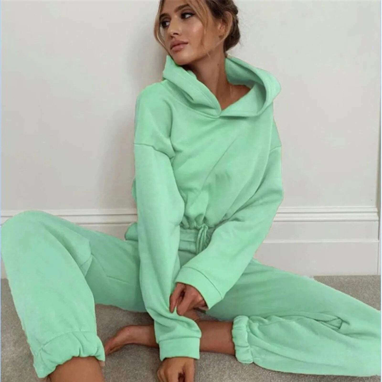 Casual Tracksuit Women Fleece 2 Pieces Set Solid Color Short Hooded Sportswear+high Waisted Sports Pants Set Female Outfits - KIMLUD