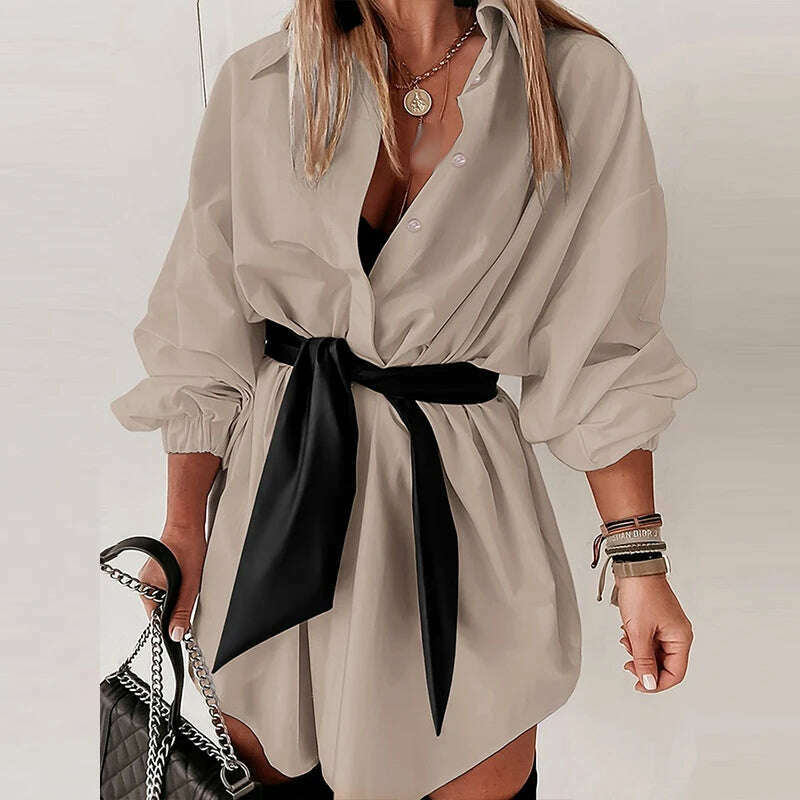 KIMLUD, Casual Women's Turn-down Collar Button Short Dress Elegant Office Lady Long Sleeve Loose Dress Spring Autumn Bandage Shirt Dress, 03 Grey / S, KIMLUD Womens Clothes