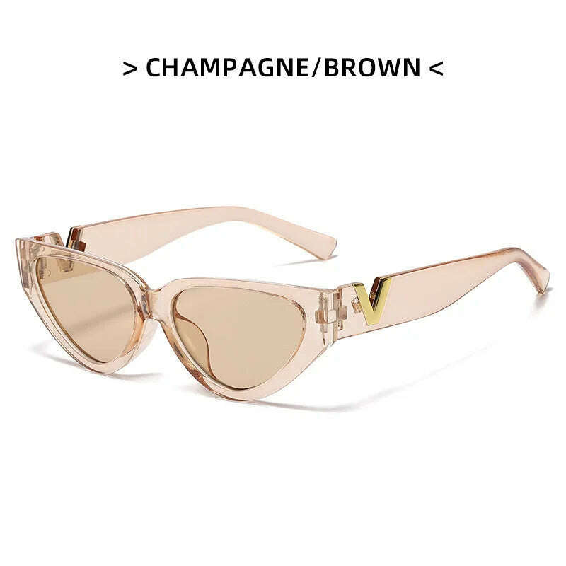 DYTYMJ Cat Eye Sunglasses Women Vintage Small Frame Eyewear for Women Luxury Brand Sun Glasses Women Gafas De Sol Mujer UV400 - KIMLUD
