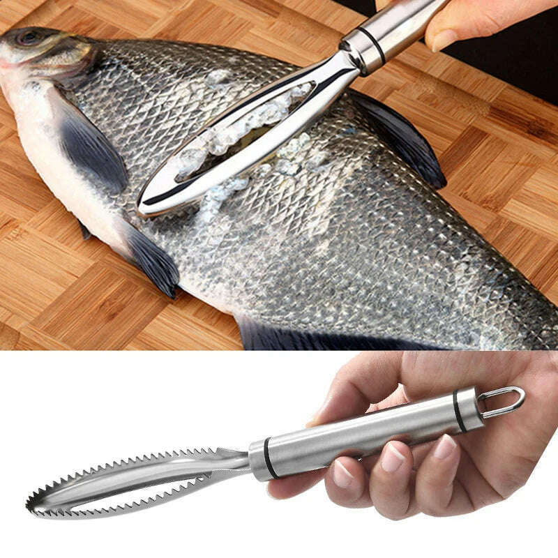 KIMLUD, Fish Scales Scraping Kitchen Fish Cleaning Knife Cutter Stainless Scaler for Fish Cleaning Tools Fish Skin Brush Kitchen Gadgets, KIMLUD Womens Clothes