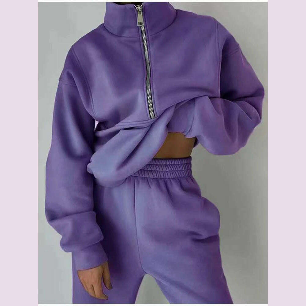 Gray Thick Warm Women Tracksuit 2 Piese Set Winter Pink Fleece Sweatpants And Sweatshirts Purple Suit Set Women Pants Set Ladies - KIMLUD