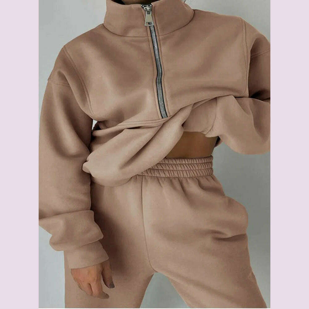 Gray Thick Warm Women Tracksuit 2 Piese Set Winter Pink Fleece Sweatpants And Sweatshirts Purple Suit Set Women Pants Set Ladies - KIMLUD