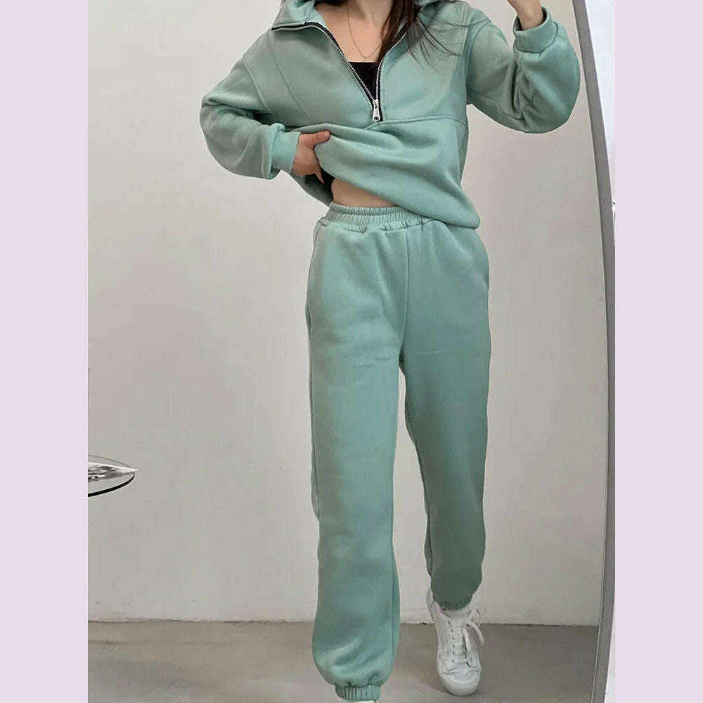Gray Thick Warm Women Tracksuit 2 Piese Set Winter Pink Fleece Sweatpants And Sweatshirts Purple Suit Set Women Pants Set Ladies - KIMLUD