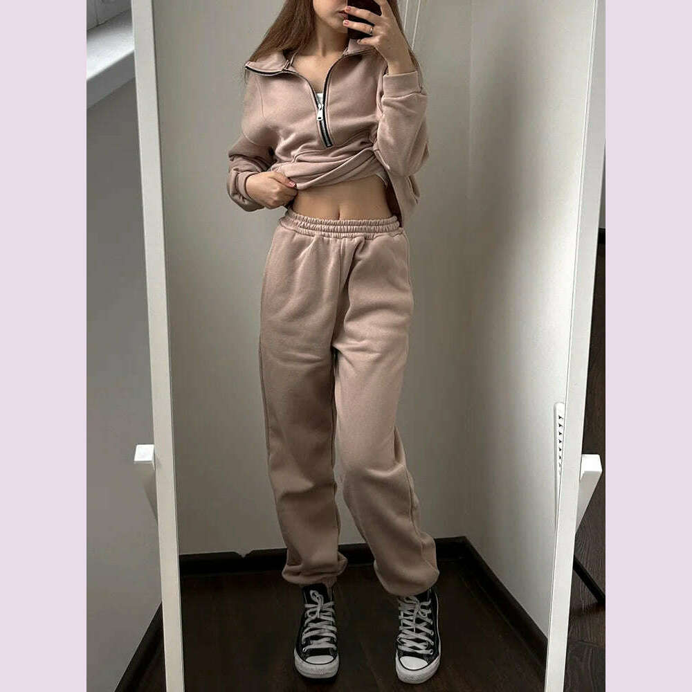 Gray Thick Warm Women Tracksuit 2 Piese Set Winter Pink Fleece Sweatpants And Sweatshirts Purple Suit Set Women Pants Set Ladies - KIMLUD