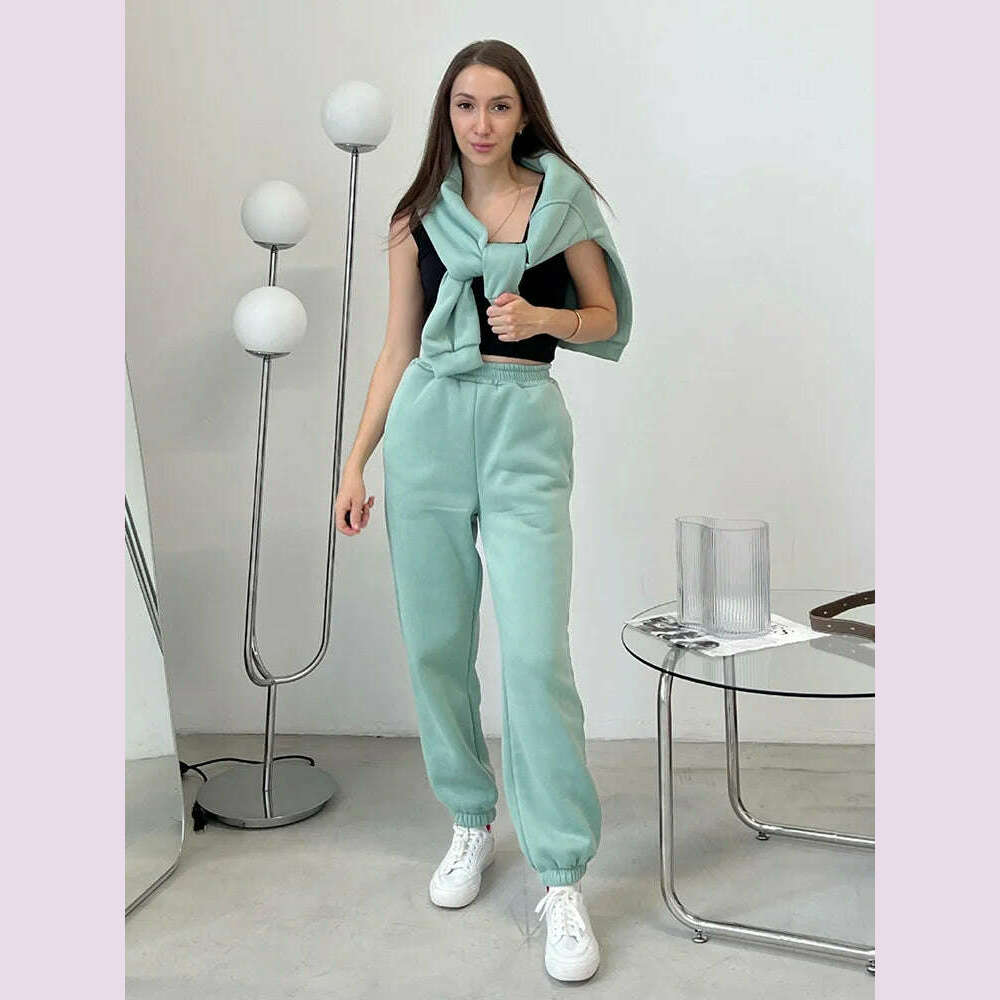 Gray Thick Warm Women Tracksuit 2 Piese Set Winter Pink Fleece Sweatpants And Sweatshirts Purple Suit Set Women Pants Set Ladies - KIMLUD