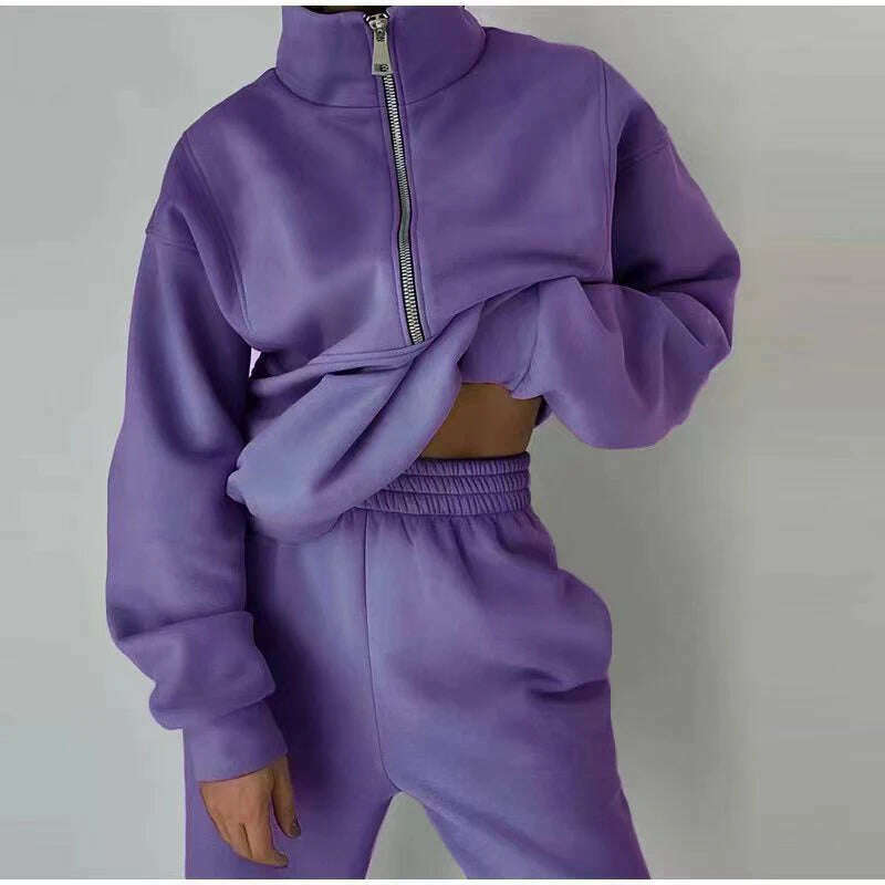 Gray Thick Warm Women Tracksuit 2 Piese Set Winter Pink Fleece Sweatpants And Sweatshirts Purple Suit Set Women Pants Set Ladies - KIMLUD