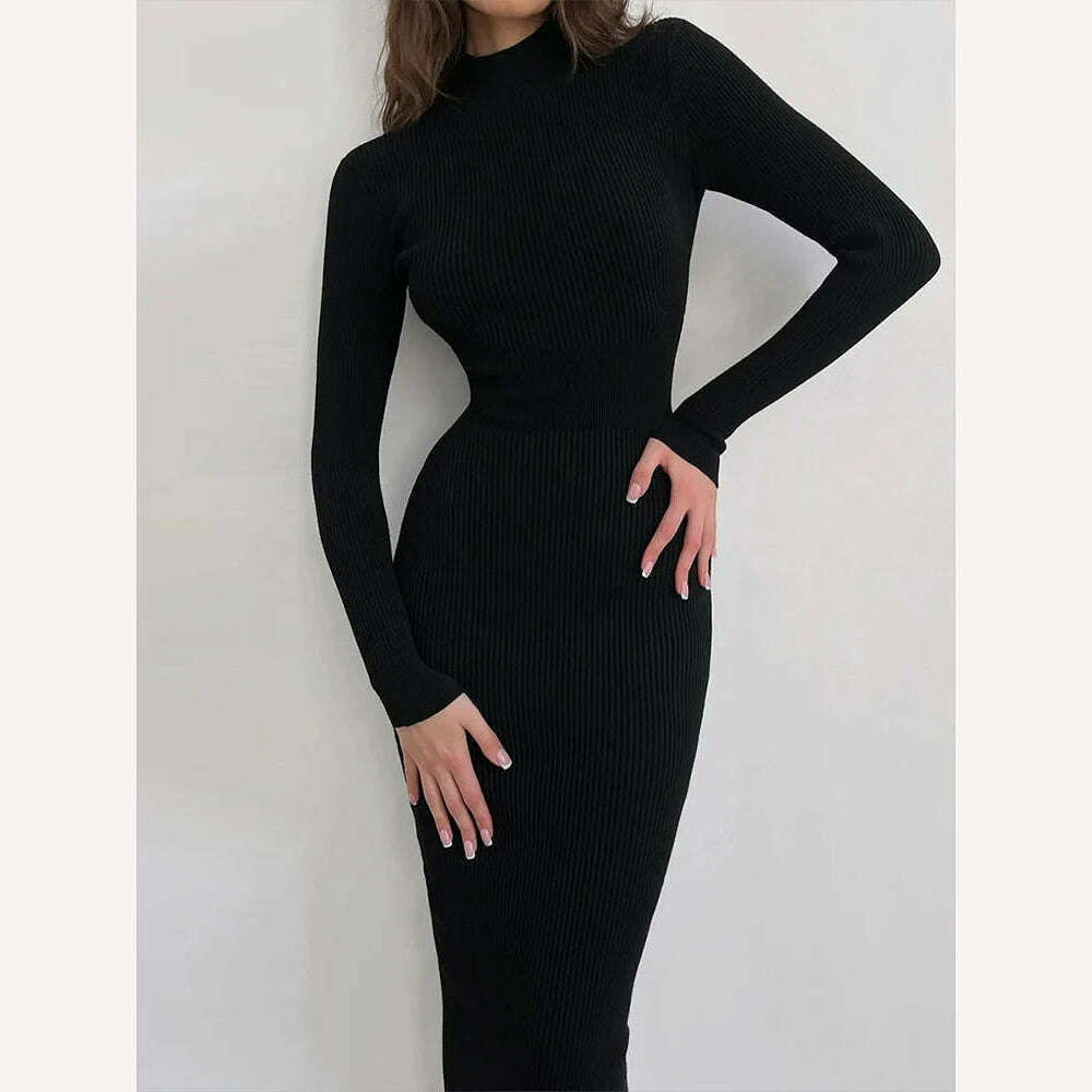 Knitted Turtleneck Dress Women Autumn Winter Long Sleeve Bodycon Midi Dresses Female Elegant Fashion Solid Color Skinny Dress - KIMLUD