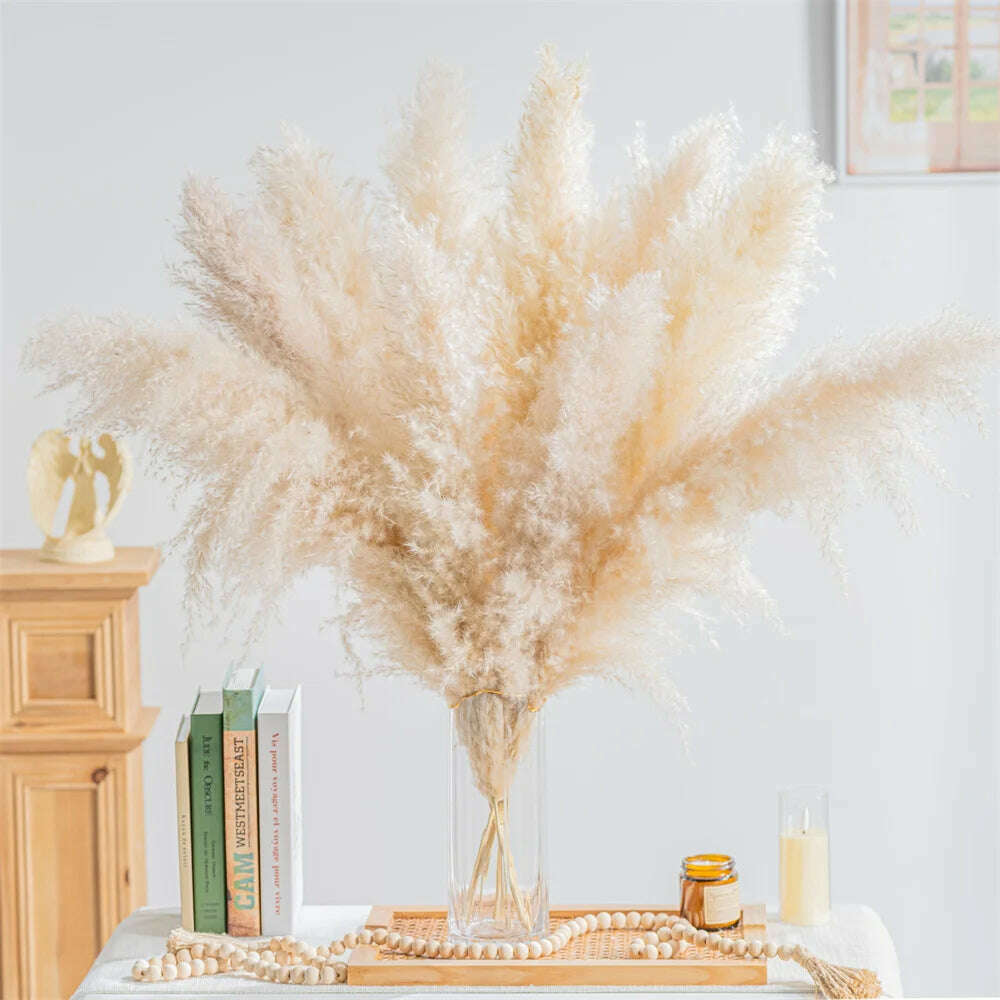 KIMLUD, Pampas Grass Tall,80-120cm Natural Brown Pampas Floral Vintage Dried Flower,Large Dried Plant for Living Room Boho Decor Bouquet, 80-120cm / 3pcs, KIMLUD Womens Clothes