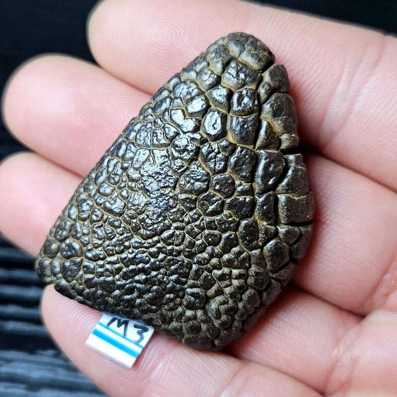 KIMLUD, Rare natural iron meteorite mineral specimen Gobi Beach Stone energy magnetic field healing holiday gift, KIMLUD Womens Clothes