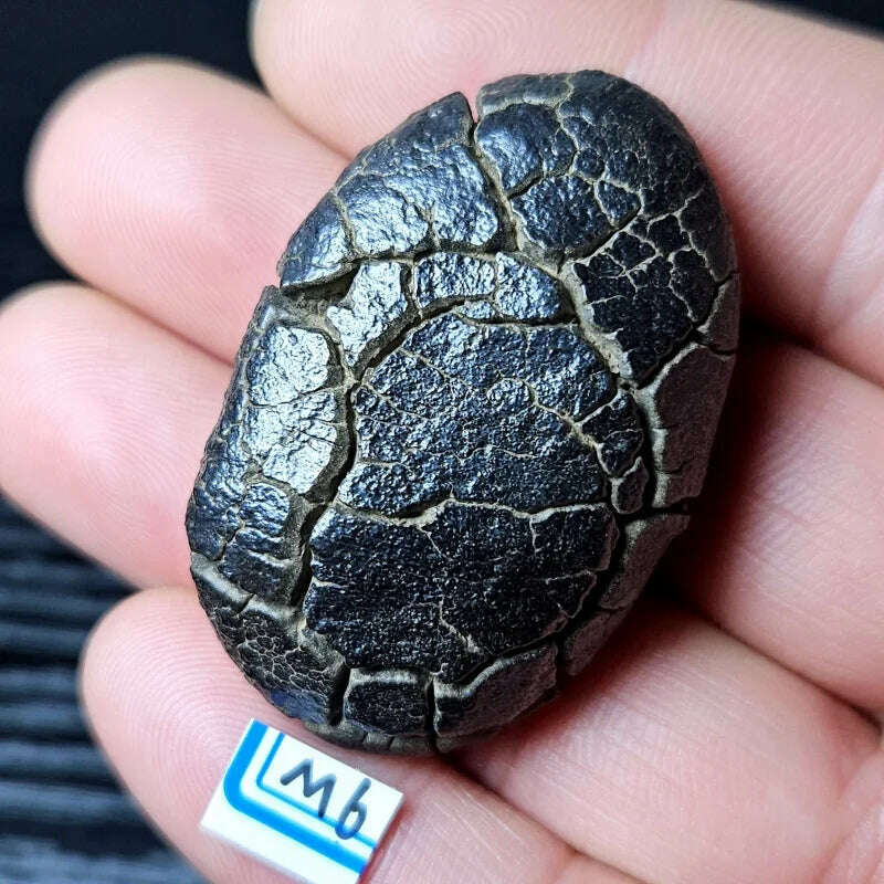 KIMLUD, Rare natural iron meteorite mineral specimen Gobi Beach Stone energy magnetic field healing holiday gift, KIMLUD Womens Clothes