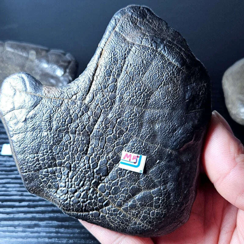 KIMLUD, Rare natural iron meteorite mineral specimen Gobi Beach Stone energy magnetic field healing holiday gift, KIMLUD Womens Clothes