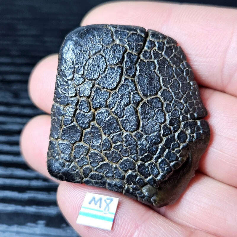 KIMLUD, Rare natural iron meteorite mineral specimen Gobi Beach Stone energy magnetic field healing holiday gift, KIMLUD Womens Clothes