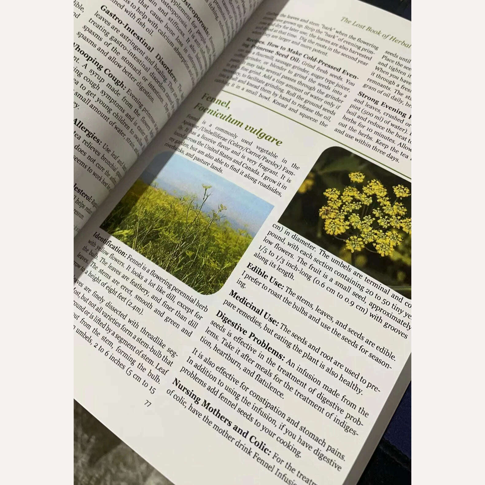 KIMLUD, The Lost Book of Herbal Remedies The Healing Power of Plant Medicine Colored Inner Pages Paperback, KIMLUD Womens Clothes