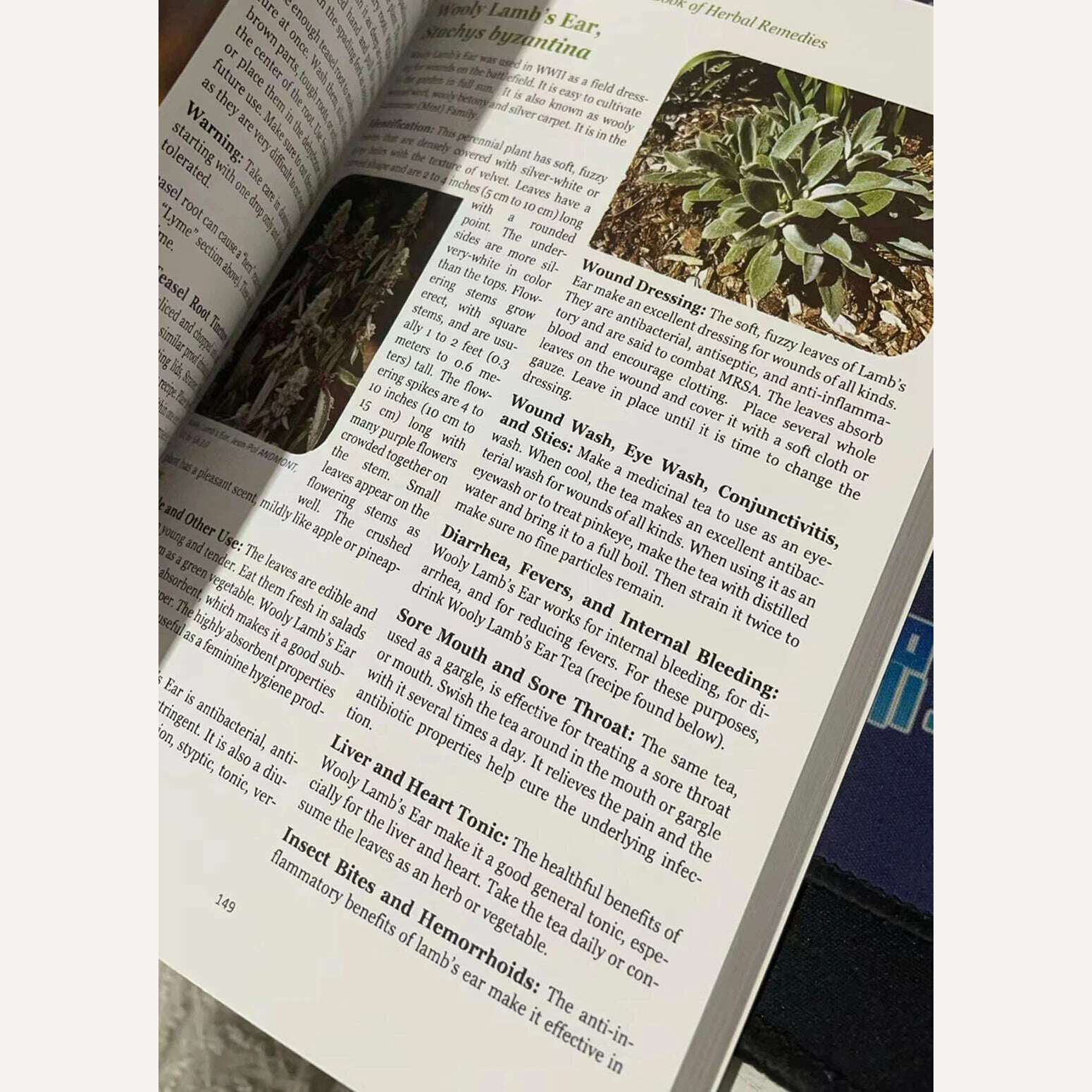 KIMLUD, The Lost Book of Herbal Remedies The Healing Power of Plant Medicine Colored Inner Pages Paperback, KIMLUD Womens Clothes