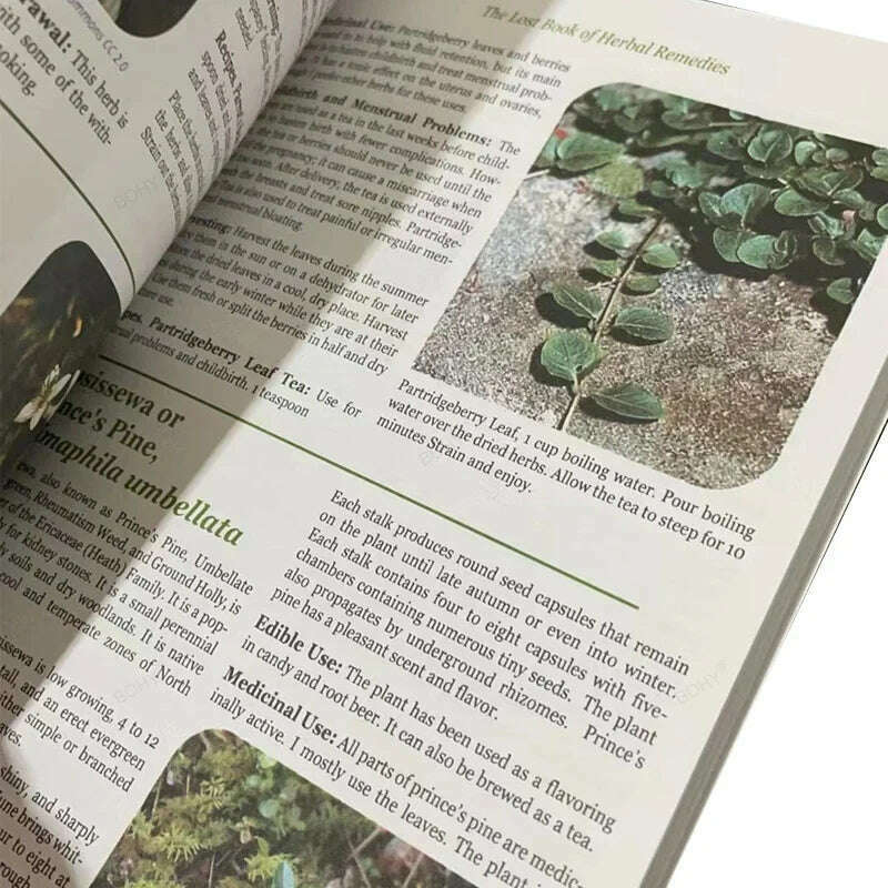 KIMLUD, The Lost Book of Herbal Remedies The Healing Power of Plant Medicine Colored Inner Pages Paperback, KIMLUD Womens Clothes