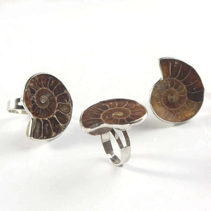 KIMLUD, Trendy-beads Unique Silver Plated Adjustable Ammonite Ring Fashion Natural Ammonite Reliquiae Stone Rings Jewelry, KIMLUD Women's Clothes