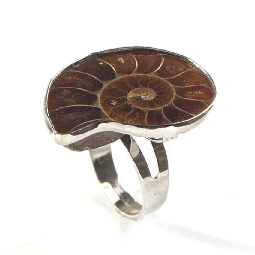 KIMLUD, Trendy-beads Unique Silver Plated Adjustable Ammonite Ring Fashion Natural Ammonite Reliquiae Stone Rings Jewelry, Ammonite Fossil 1 / CHINA / Resizable, KIMLUD Women's Clothes